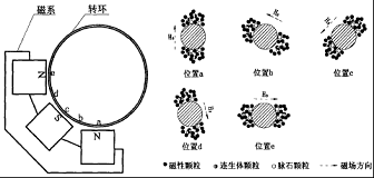 高梯度磁选机的磁场结构图